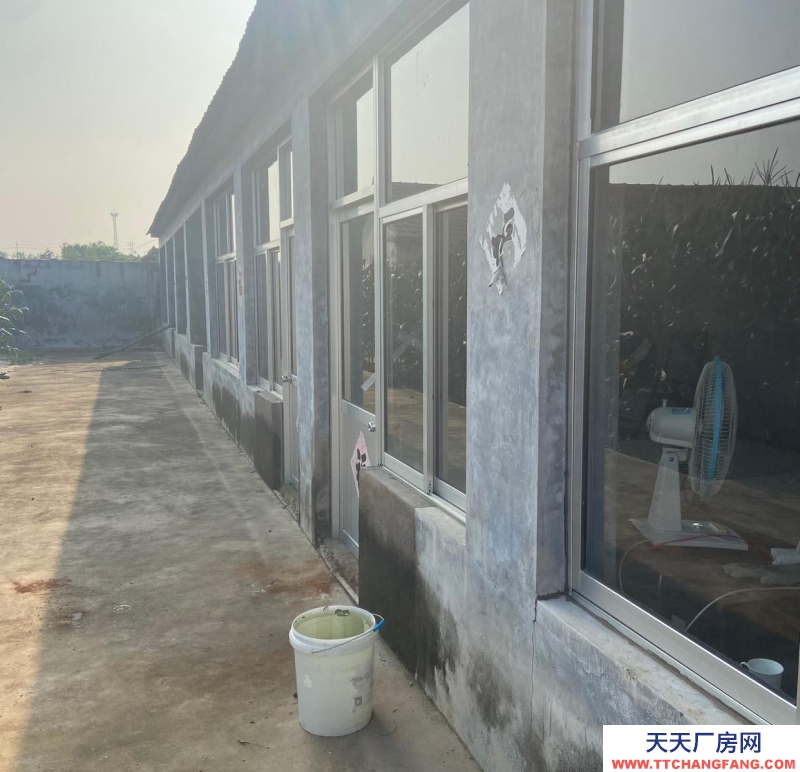 日照東港水電齊全，便宜，面積大