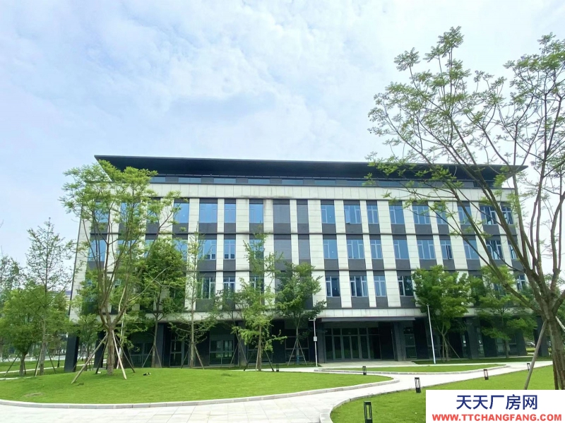 租售天府新區高端產業園,政策優惠