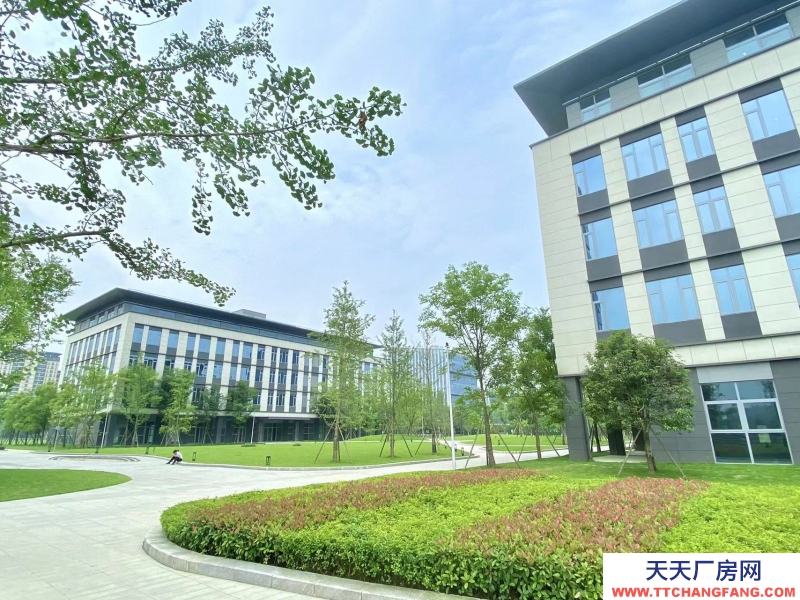 租售天府新區高端產業園,政策優惠