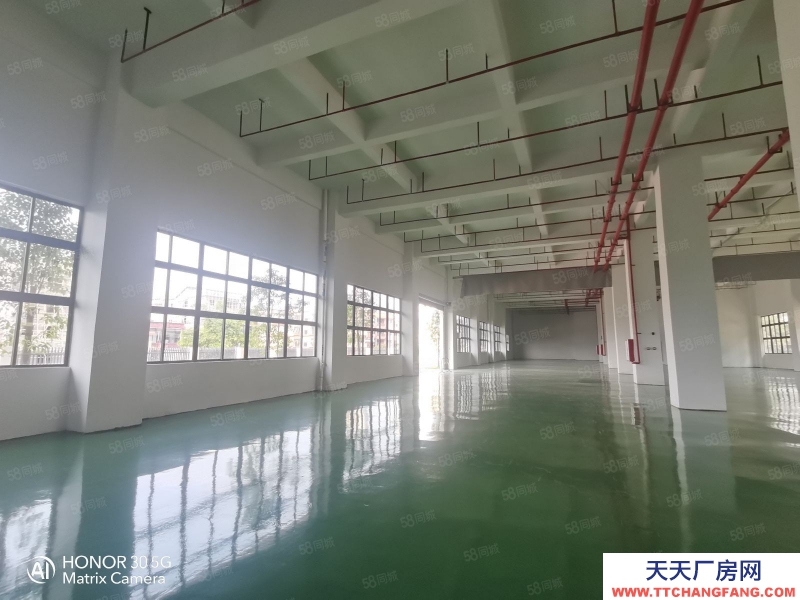 (出租) 佛山順德上市公司形象!大小可分租 原房東實(shí)際面積出租,享受政府扶持!