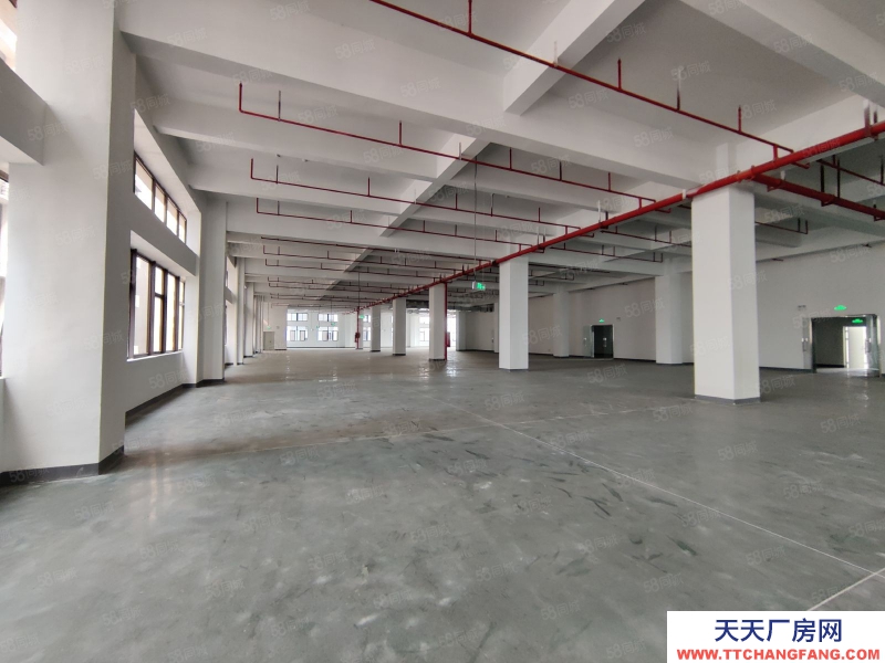 (出租) 佛山陳村新出標(biāo)準(zhǔn)樓層廠房出租丙二類消防帶噴淋空地大高臺(tái)卸貨好進(jìn)車