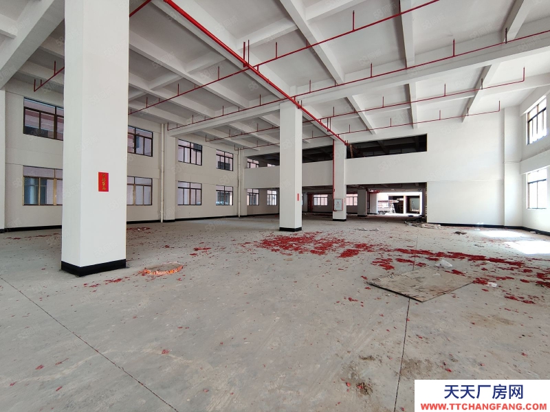 (出租) 佛山陳村新出標(biāo)準(zhǔn)樓層廠房出租丙二類消防帶噴淋空地大高臺(tái)卸貨好進(jìn)車