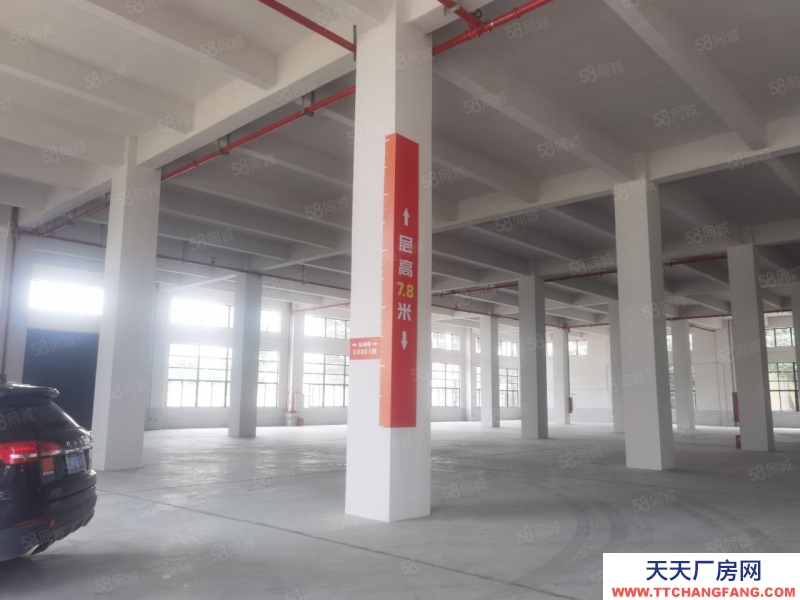 (出租) 佛山三水樂平，有全新獨門獨院廠房38000平米出租，可以分租