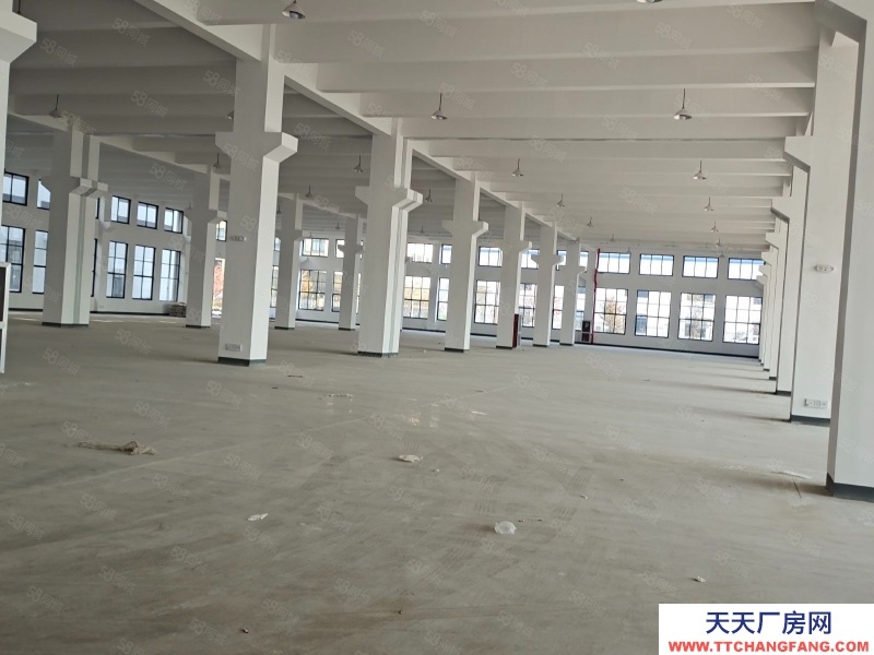 嘉興海寧(出租) 周王廟底樓4100平可分租