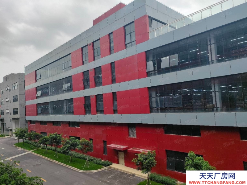 (出租) 佛山三水去西南園區標準廠房低價15元出租 空地大免費停車空地免費