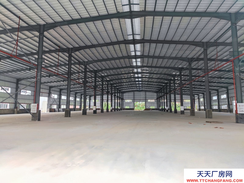 (出租) 佛山高明區荷城街道工業區主干道原房東全新鋼構廠房5000平有紅本