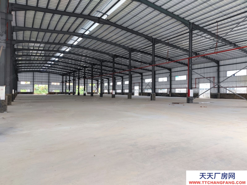 (出租) 佛山高明區荷城街道工業區主干道原房東全新鋼構廠房5000平有紅本