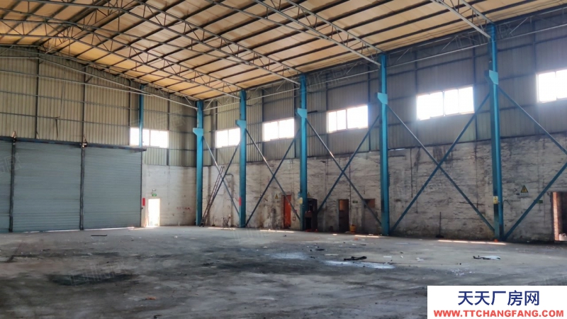 (出租) 佛山高明區800方小鋼構環評好辦好進大貨車好停車電費對公好招工