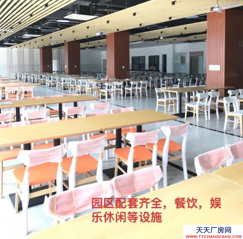 (出租) 佛山高明富灣工業(yè)區(qū)滴水11米全新廠房招租3萬方帶紅本