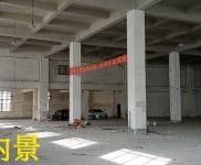 (出租) [出租]高新區獅子嶺一樓標準廠房（帶免費庭院）/業主直租