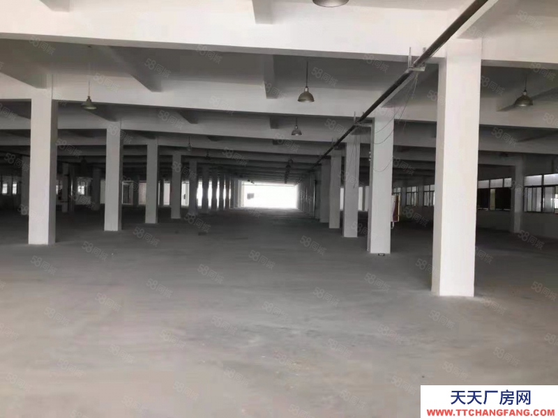 嘉興海寧(出租) 鹽倉10000平方電商倉庫出租，500平方起租，急租，沒稅收