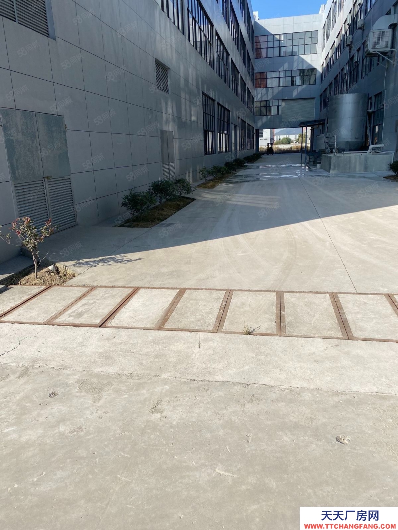 嘉興海寧(出售) 黃灣舊廠房帶土地出售