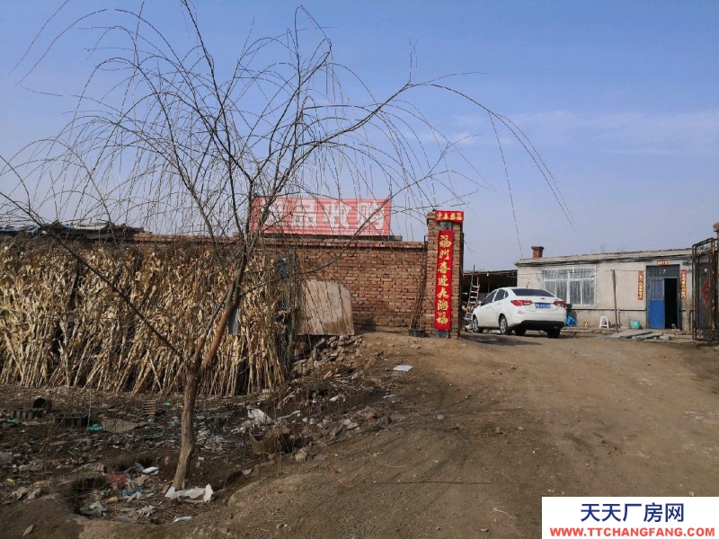 (出租)朝陽雙塔 八一家園對過路邊平房小院