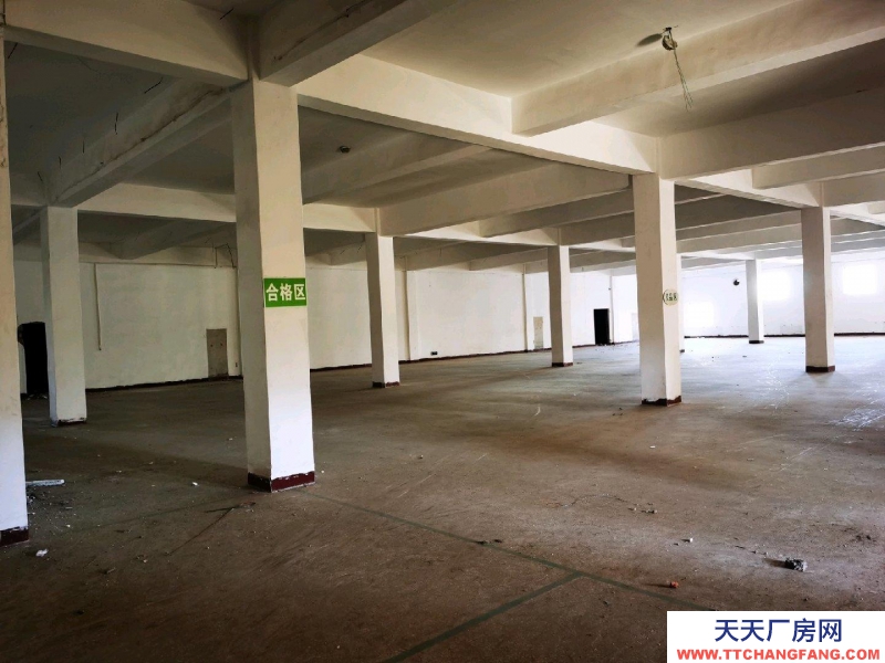 (出租) 朝陽龍城原廠房，可做倉庫使用共兩層，一層2000平米左右