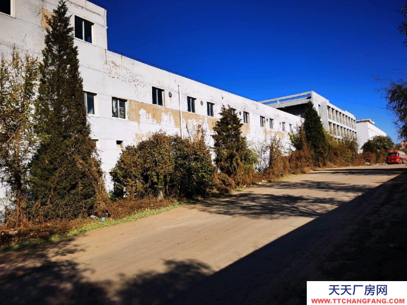 (出租) 朝陽龍城原廠房，可做倉庫使用共兩層，一層2000平米左右