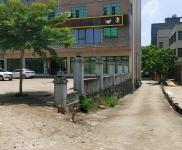 (出租) 出租長彤路300到600平方倉庫,300平辦公住宿。