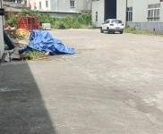 (出租) 向榮路鐵皮倉庫，可整租，可分租。