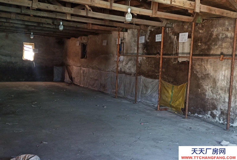 (出租)朝陽龍城 多個200左右廠房出租，隨時看房，中介勿擾。