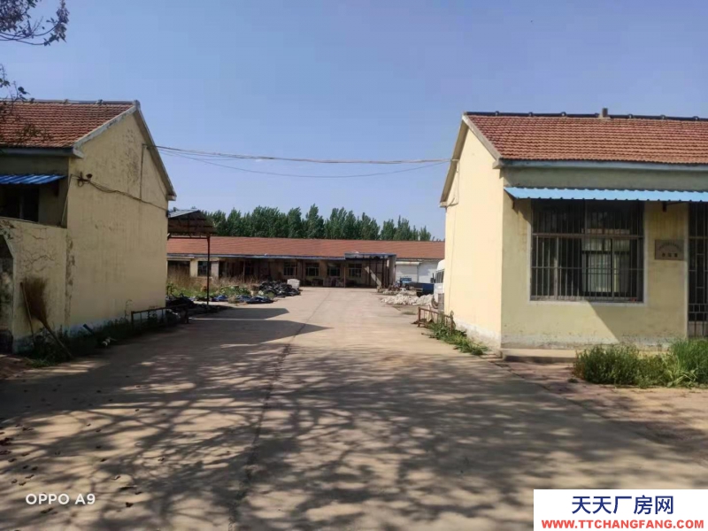 東營廣饒有恒溫冷庫、清洗和包裝車間，配套設施非常完善。