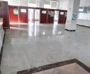 (出租) 位于新埠島海口水產品綜合批發市場內