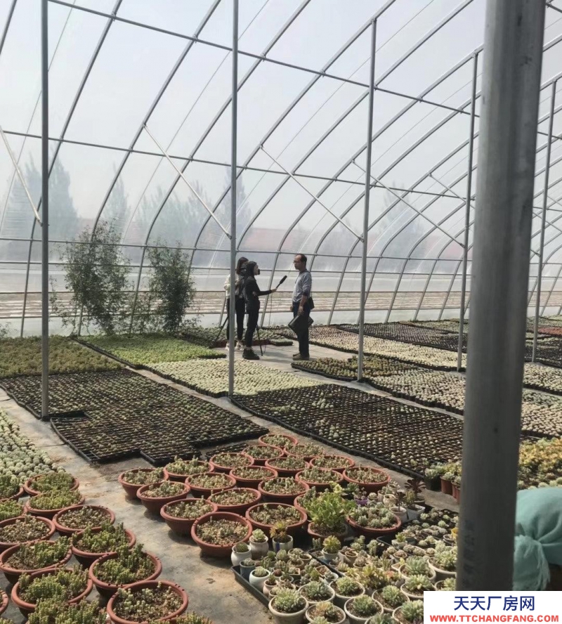 東營廣饒大棚租賃，水電齊全，交通便利，瀕臨河道