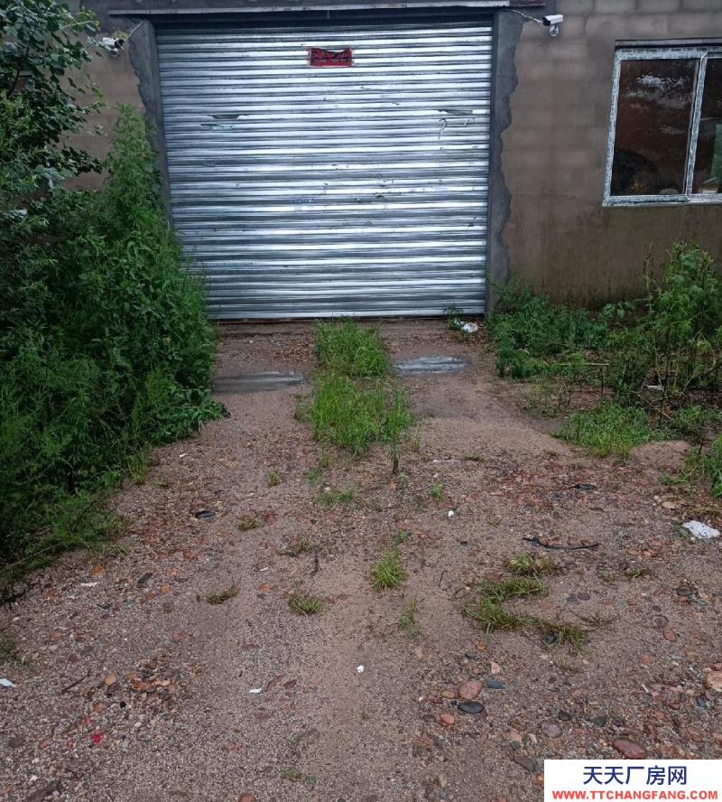 (出租)丹東振安區 260平整體庫房，可進車輛，整裝