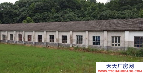 岳陽市岳陽樓區(qū)  經開區(qū)康王鄉(xiāng)好廠房