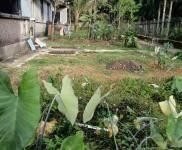 (出租) 公司小樓大院環境優雅居住商用均可。