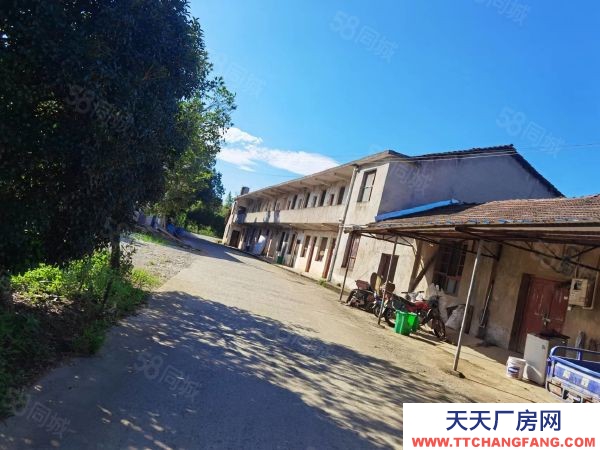 岳陽市岳臨湘區 臨湘火車站S206省道旁房東自建獨院廠房倉庫直接出租