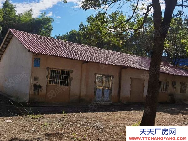 岳陽市岳臨湘區 臨湘火車站S206省道旁房東自建獨院廠房倉庫直接出租