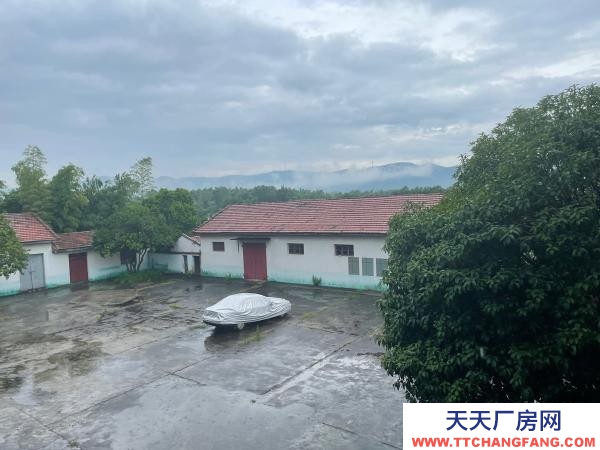 岳陽市岳華容區 超大停車場，湖南湖北交界處，高速路口十，便宜出租