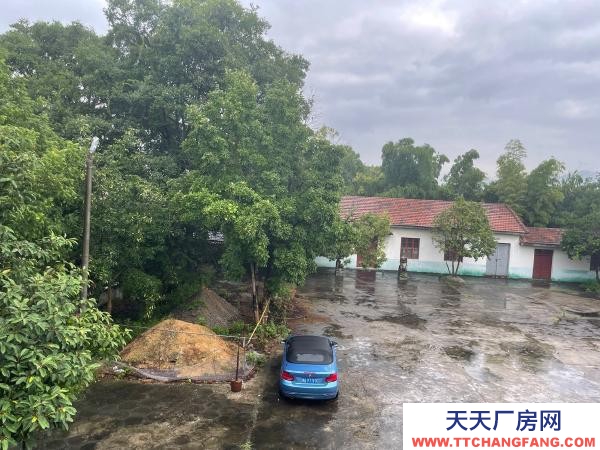岳陽市岳華容區 超大停車場，湖南湖北交界處，高速路口十，便宜出租