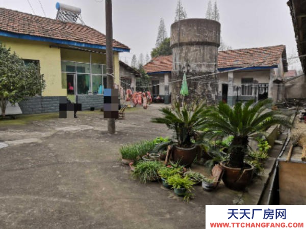 岳陽市岳華容區 廠房出租,適合門面、房產開發、腌制酸豆角、榨菜等