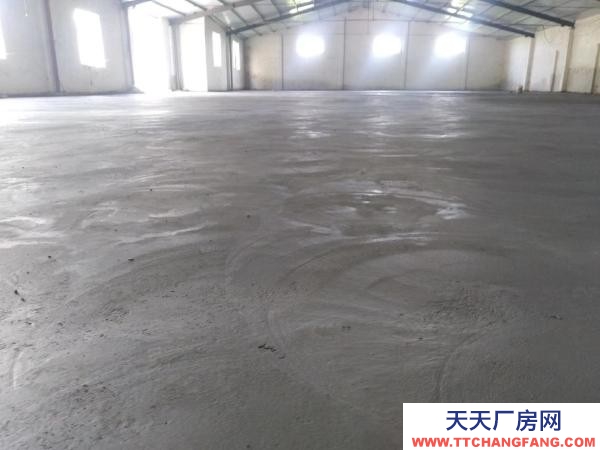 菏澤牡丹臨國(guó)花大道，水，動(dòng)力電，可過(guò)大車！寬帶，緊臨國(guó)花大道