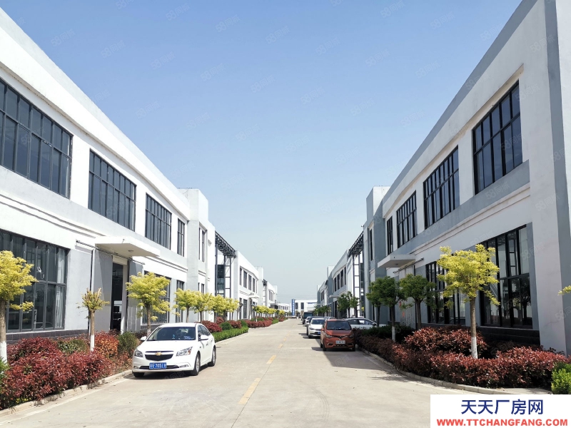 菏澤曹縣科技園區 標準廠房招商 生產型企業 帶裝修 隨時用