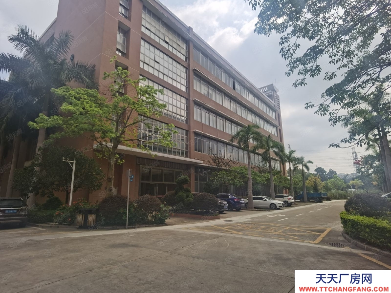 (出租) 深圳光明將石精裝900平低價廠房出租高新研發辦公電商倉庫工業園