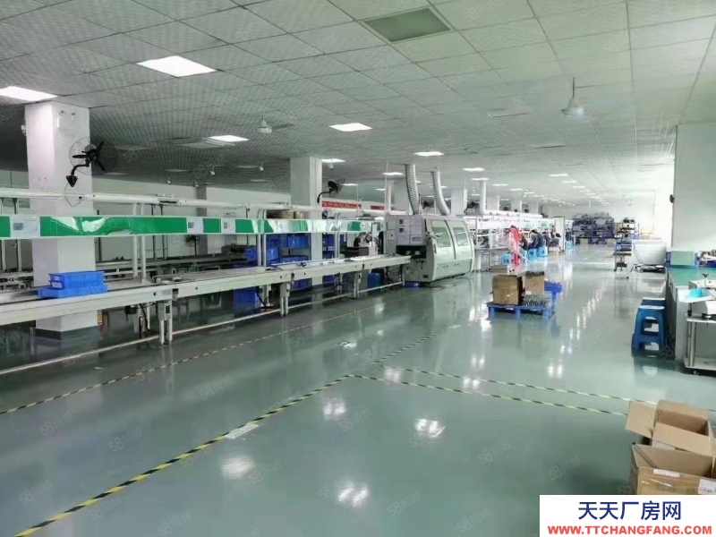 (出租) 深圳光明將石精裝900平低價廠房出租高新研發辦公電商倉庫工業園