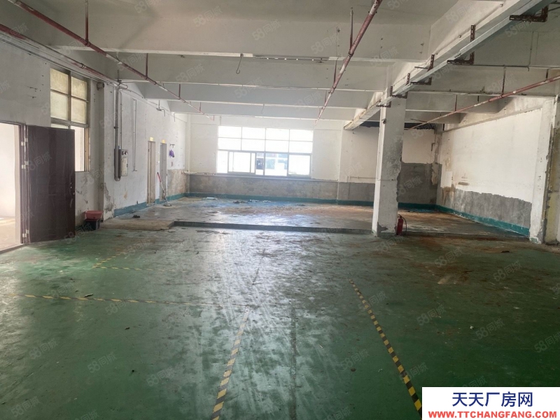 (出租) 深圳沙井衙邊村新出樓上463平米精裝修原房東.價格美麗