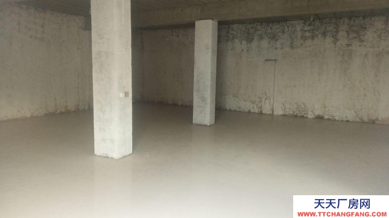 菏澤曹縣城區小型倉庫廠房電商倉庫演出服加工車間