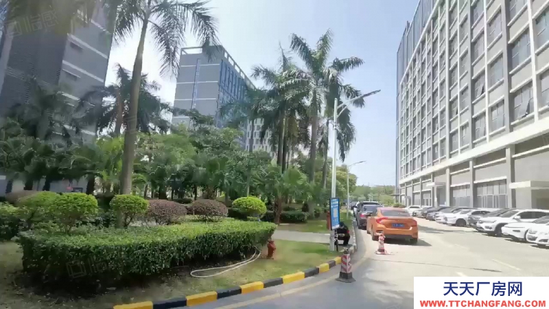 (出租) 深圳西鄉興東地鐵廠房樓上1500平起整層出租精裝修辦公室倉庫低價