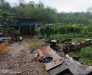 (出租) 可租可轉讓怎樣的話共有十畝，可以養豬與其他都可以的