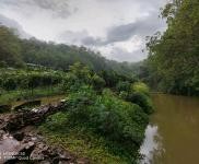 (出租) 可租可轉讓怎樣的話共有十畝，可以養豬與其他都可以的