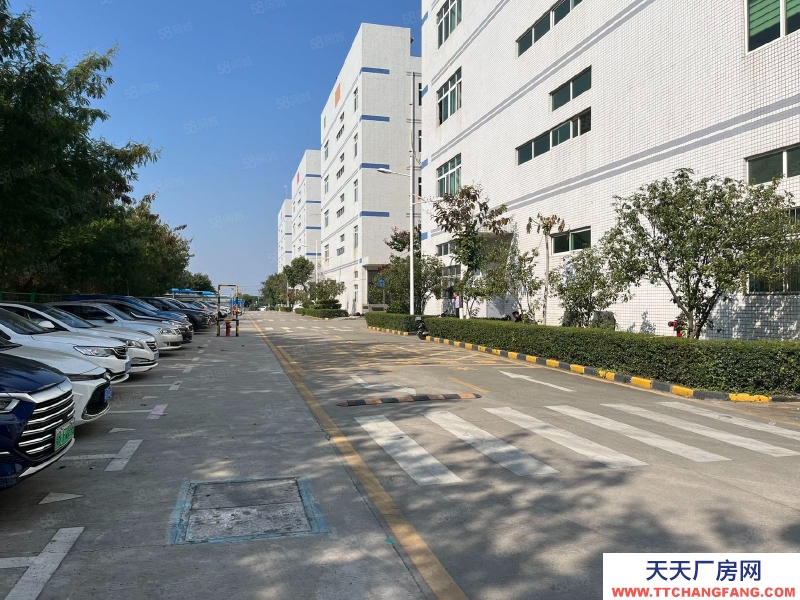 (出租) 深圳西麗2樓500至整層2395平精裝修廠房出租倉庫出租!低價(jià)!