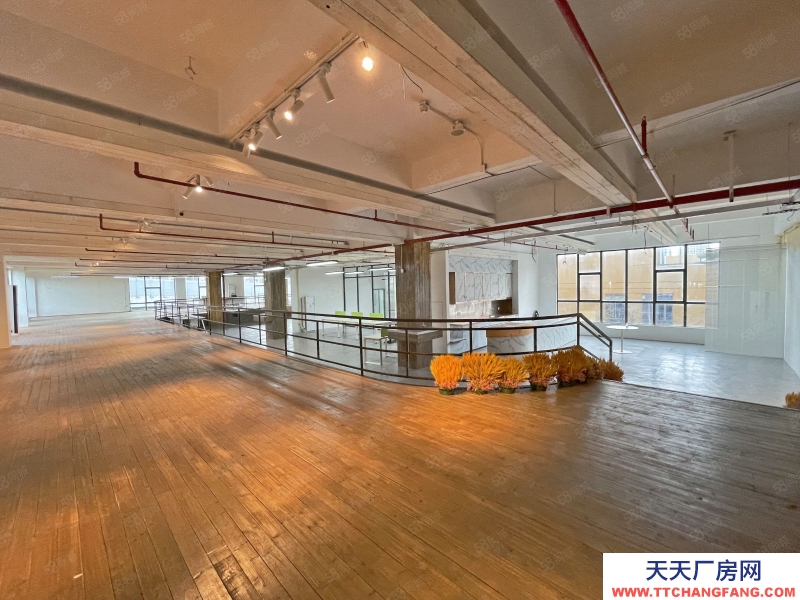 (出租) 深圳蛇口創意園 整層800平 帶精裝 行業不限