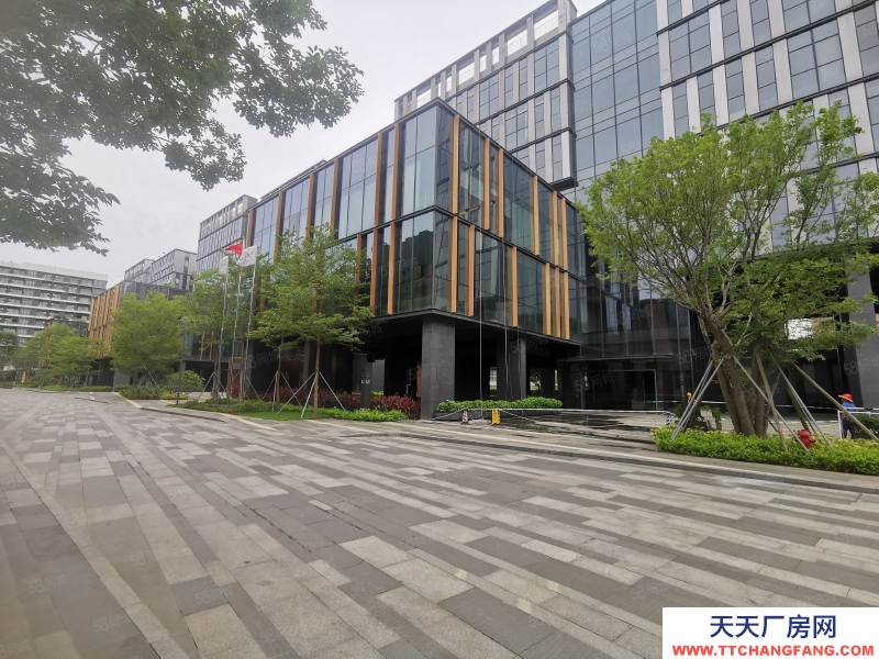 (出租) 深圳南山西麗地鐵口高新產(chǎn)業(yè)研發(fā)辦公1000平帶豪華裝修可分租低價(jià)