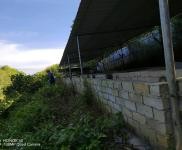 (出租) 有水有電接手可經營，養豬養雞都可以，有可能征用到