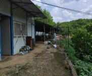 (出租) 有水有電接手可經(jīng)營，養(yǎng)豬養(yǎng)雞都可以，有可能征用到