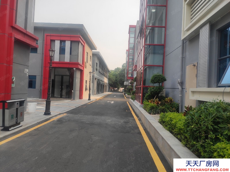 (出租) 深圳獨棟帶裝修1000平八卦嶺附近精裝修辦公室出租可分租500起