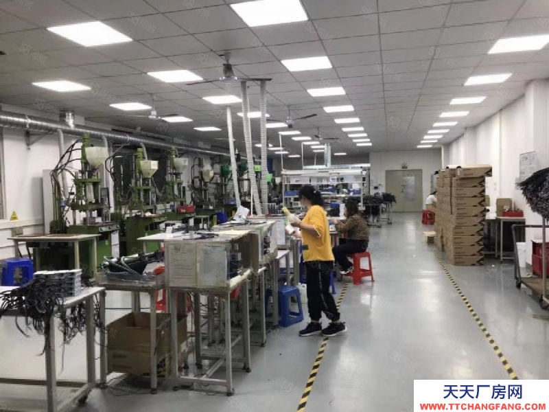(出租) 深圳公明長圳廠房，出租1樓3300平精裝廠房出租