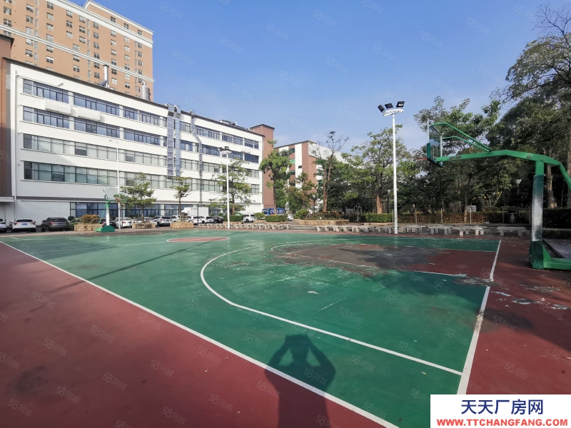 (出租) 深圳龍華高新科創園整棟19000平可申請租金補貼有紅本現低價放租